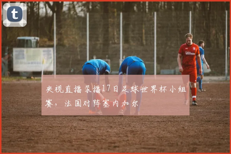 央视直播录播17日足球世界杯小组赛，法国对阵塞内加尔