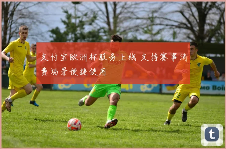 支付宝欧洲杯服务上线 支持赛事消费场景便捷使用