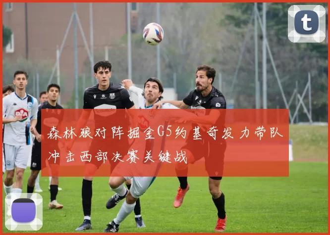 森林狼对阵掘金G5约基奇发力带队冲击西部决赛关键战