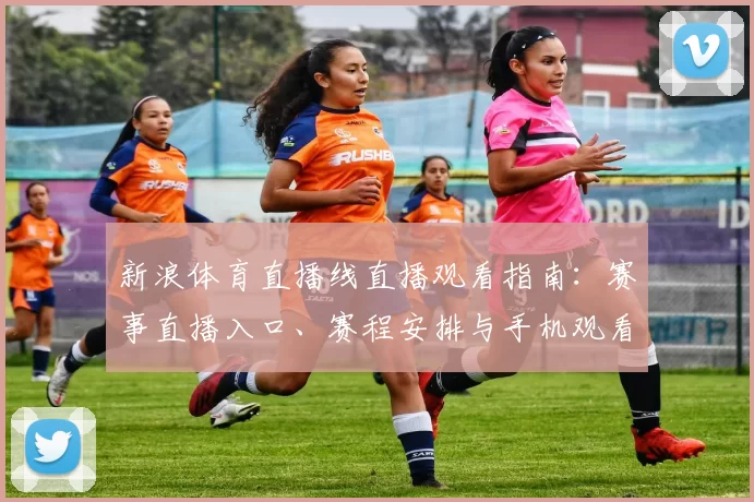 新浪体育直播线直播观看指南：赛事直播入口、赛程安排与手机观看方式解析