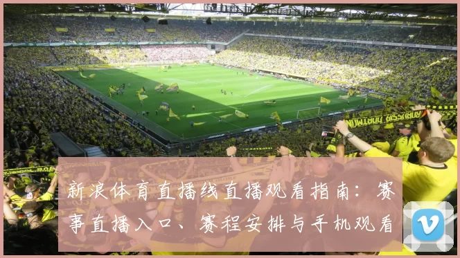 新浪体育直播线直播观看指南:赛事直播入口、赛程安排与手机观看方式解析